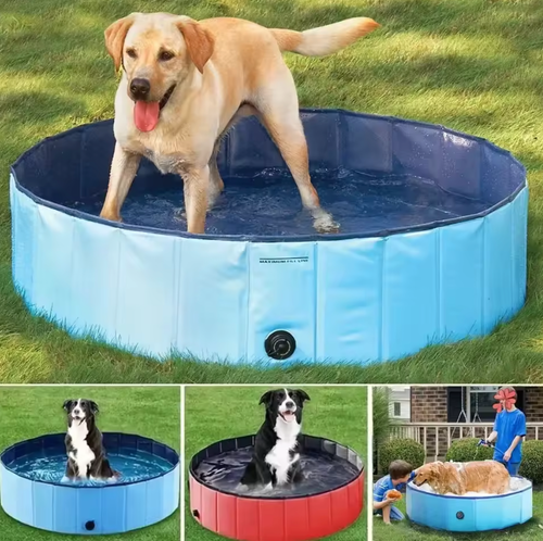 Foldable Dog Pool — Easy Cooling & Bath Solution