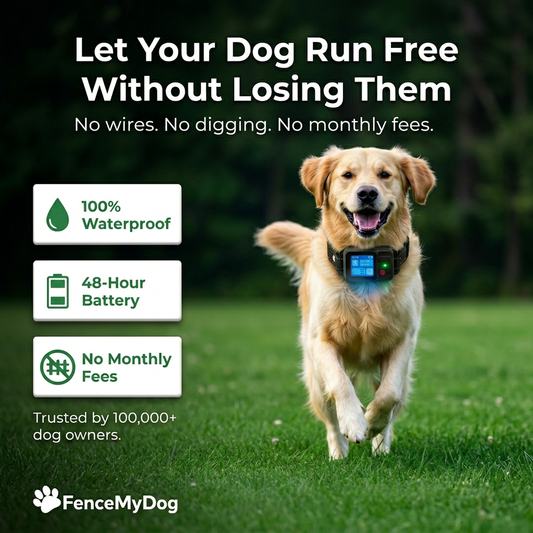FenceMyDog™ GPS Collar