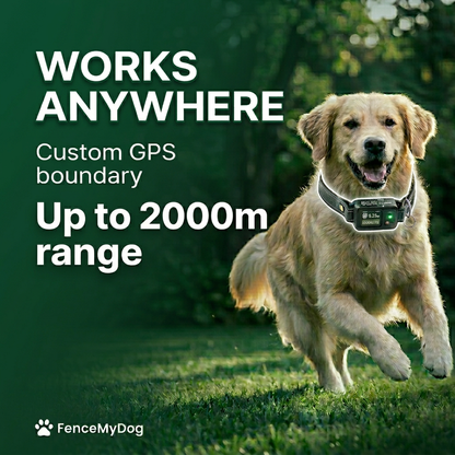 PawBound GPS Collar | FenceMyDog™️