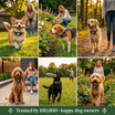 FenceMyDog™ GPS Collar
